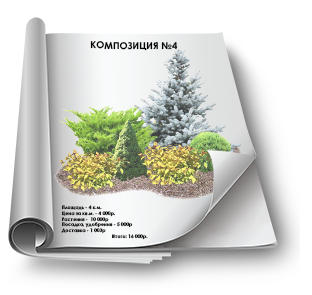 ландшафтные композиции